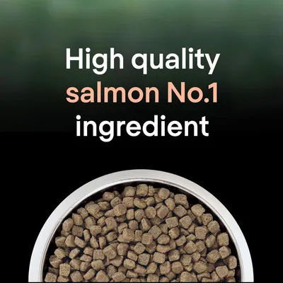 Text states high quality salmon is the number one ingredient, shown above a bowl filled with dry food pieces.