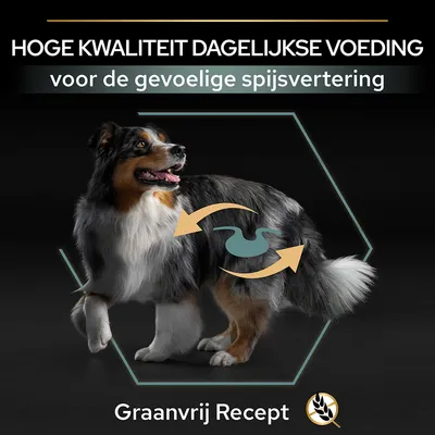 HOGE KWALITEIT DAGELIJKSE VOEDING voor de gevoelige spijsvertering. Graanvrij Recept met graanvrij-symbool, afbeelding van hond en maagicoon.