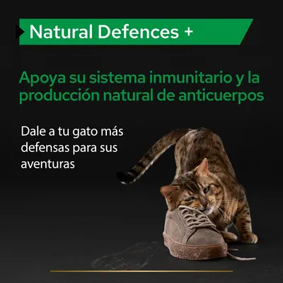 Natural Defences +. Apoya su sistema inmunitario y la producción natural de anticuerpos. Dale a tu gato más defensas para sus aventuras.