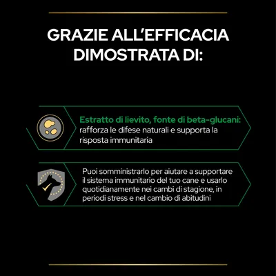 Grazie all’efficacia dimostrata di: Estratto di lievito, fonte di beta-glucani: rafforza le difese naturali e supporta la risposta immunitaria. Puoi somministrarlo per aiutare il sistema immunitario del cane.