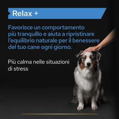 Relax + Favorisce un comportamento più tranquillo e aiuta a ripristinare l’equilibrio naturale per il benessere del tuo cane ogni giorno. Più calma nelle situazioni di stress