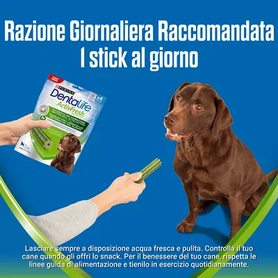 Purina Dentalife ActivFresh, raccomandazione: 1 stick al giorno. Immagine di un cane marrone e una mano che offre uno stick verde, confezione visibile con testo informativo.