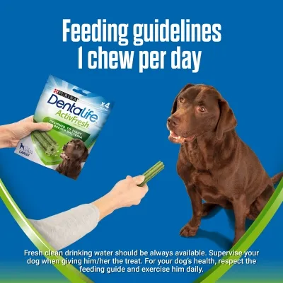Purina Dentalife ActivFresh dog chews, feeding guidelines: 1 chew per day. Image shows a hand holding the pack and a chew, with a brown dog sitting beside.