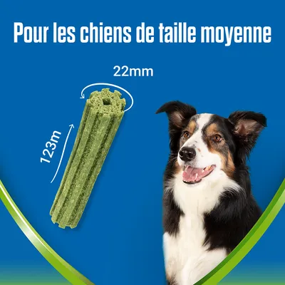 Bâtonnet vert pour chiens de taille moyenne, dimensions indiquées : 123 mm de long et 22 mm de diamètre. Texte visible : Pour les chiens de taille moyenne. Chien illustré à droite.