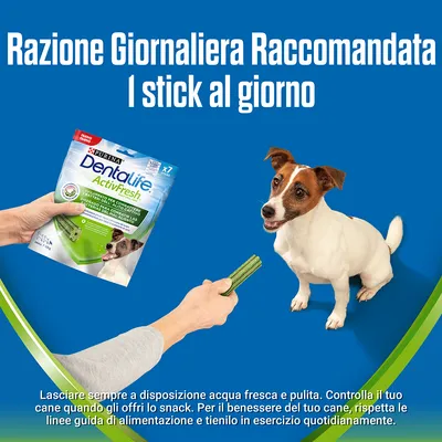 Purina Dentalife ActivFresh per cani, raccomandazione: 1 stick al giorno. Immagine di un cane e una mano che offre uno stick, confezione visibile. Testo con istruzioni alimentari.