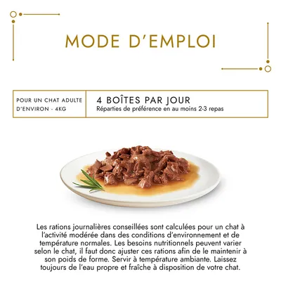 Mode d’emploi : pour un chat adulte d’environ 4 kg, 4 boîtes par jour, à répartir de préférence en 2–3 repas. Photo d’une assiette de nourriture humide pour chat.