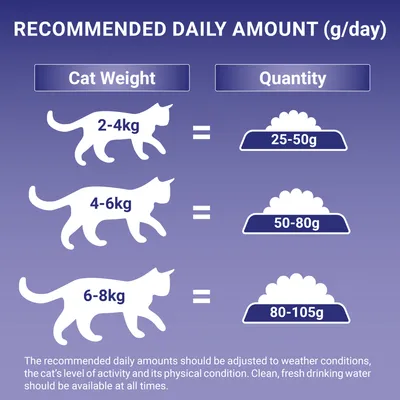 Recommended daily amount guide: 2-4kg cat weight equals 25-50g food, 4-6kg equals 50-80g, 6-8kg equals 80-105g. Adjust for activity and provide fresh water.