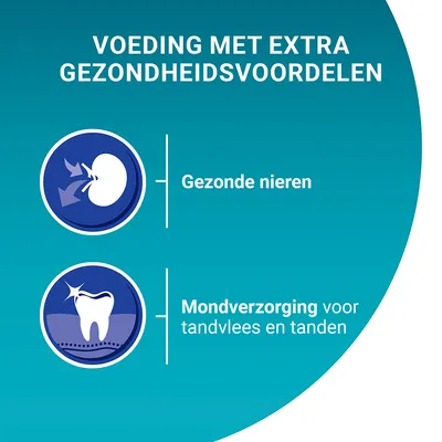 Voeding met extra gezondheidsvoordelen: Gezonde nieren, Mondverzorging voor tandvlees en tanden.