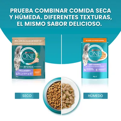 Comida para gatos Purina ONE Coat & Hairball: formato seco en bolsa de 750 g y húmedo en sobre de 85 g. Imagen comparativa de croquetas secas y alimento húmedo en platos.