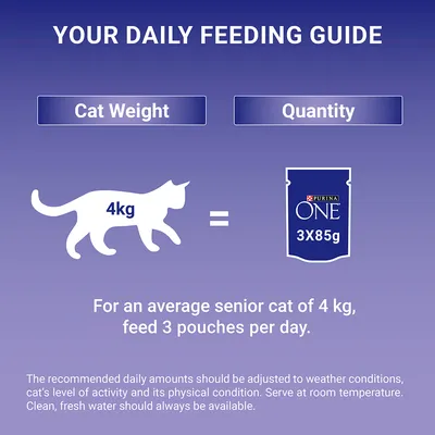 Feeding guide: cat weight 4 kg equals Purina ONE 3x85g pouches per day. For an average senior cat of 4 kg, feed 3 pouches daily. Adjust amounts as needed; water should be available.
