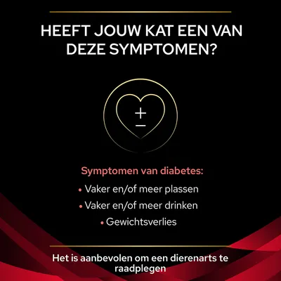 Heeft jouw kat een van deze symptomen? Symptomen van diabetes: vaker en/of meer plassen, vaker en/of meer drinken, gewichtsverlies. Het is aanbevolen om een dierenarts te raadplegen.