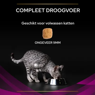Compleet droogvoer, geschikt voor volwassen katten. Brok van ongeveer 9 mm zichtbaar. Kat eet uit een metalen voerbak.