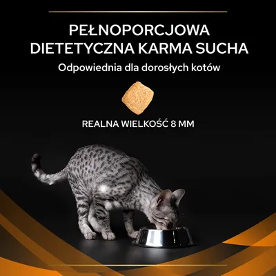 Pełnoporcjowa dietetyczna karma sucha, odpowiednia dla dorosłych kotów. Realna wielkość granulki 8 mm. Na dole kot jedzący z miski.