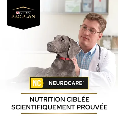 Purina Pro Plan NC NeuroCare, nutrition ciblée scientifiquement prouvée, texte visible sur l’image avec un chien et une personne en blouse blanche.