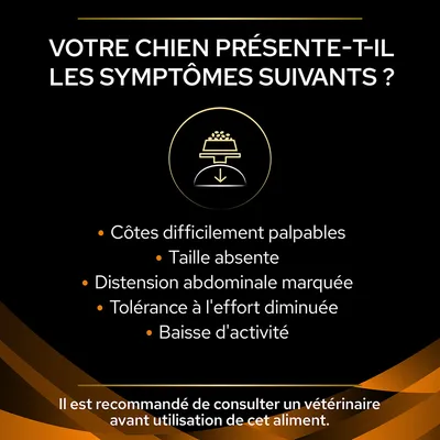 Votre chien présente-t-il les symptômes suivants ? Côtes difficilement palpables, taille absente, distension abdominale marquée, tolérance à l'effort diminuée, baisse d'activité. Consultez un vétérinaire.