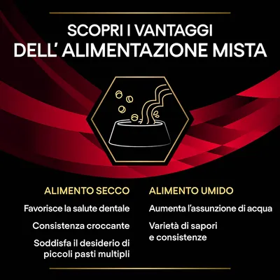 Scopri i vantaggi dell’alimentazione mista. Alimento secco: favorisce la salute dentale, consistenza croccante, soddisfa il desiderio di piccoli pasti multipli. Alimento umido: aumenta l’assunzione di acqua, varietà di sapori e consistenze.