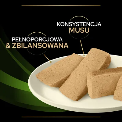 Kawałki karmy na talerzu, tekst: pełnoporcjowa & zbilansowana, konsystencja musu.