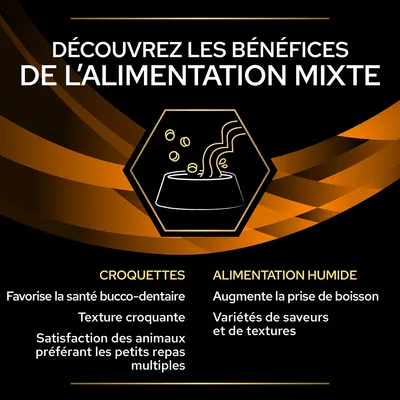 Découvrez les bénéfices de l’alimentation mixte : croquettes favorisent la santé bucco-dentaire, texture croquante, petits repas ; alimentation humide augmente la prise de boisson, variétés.