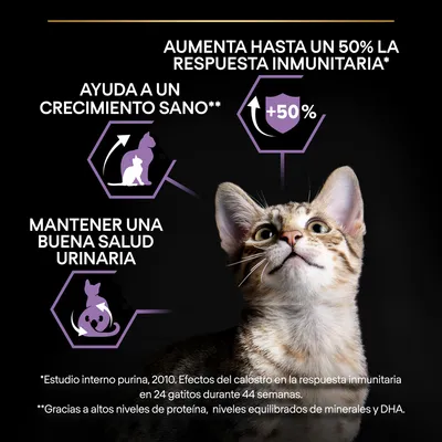 Aumenta hasta un 50 % la respuesta inmunitaria, ayuda a un crecimiento sano y mantener una buena salud urinaria. Imagen de un gato y gráficos informativos. Texto explicativo de estudios.