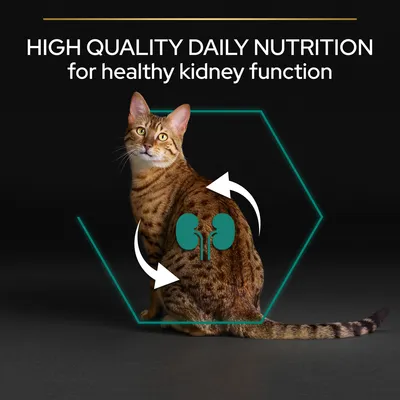 Image shows a cat with kidney graphic and arrows, highlighting high quality daily nutrition for healthy kidney function.