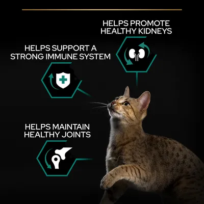 Tekst na engleskom: Helps support a strong immune system, helps promote healthy kidneys, helps maintain healthy joints. Slika mačke uz tri grafička simbola.