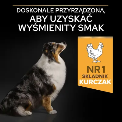 Doskonale przyrządzona, aby uzyskać wyśmienity smak. NR 1 składnik kurczak. Widoczny pies siedzący obok żółtego pola z grafiką kurczaka i tekstem.