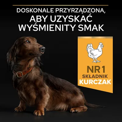 Tekst: Doskonale przyrządzona, aby uzyskać wyśmienity smak. NR 1 składnik kurczak. Obraz psa siedzącego obok żółtej etykiety z rysunkiem kurczaka.