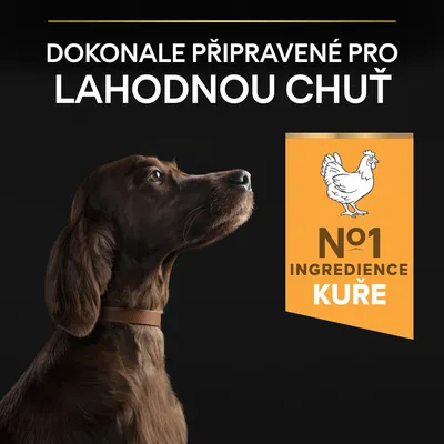 Text v češtine: Dokonale připravené pro lahodnou chuť. No1 ingredience kuře. Obrázok psa a ikona kura.