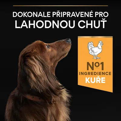 Text v češtine: Dokonale připravené pro lahodnou chuť. N°1 ingredience kuře. Obrázok psa a kura.