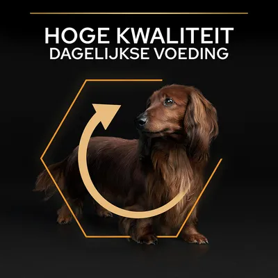 Hoge kwaliteit dagelijkse voeding