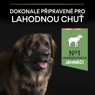 Text: Dokonale připravené pro lahodnou chuť. N°1 ingredience jehněčí. Velký pes a zelený štítek s obrázkem jehněte.