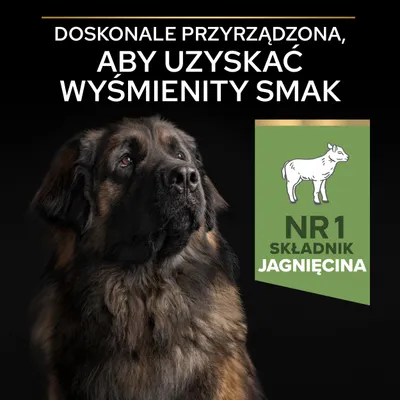 Doskonałe przyrządzona, aby uzyskać wyśmienity smak. NR 1 składnik jagnięcina.