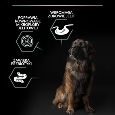 Poprawia równowagę mikroflory jelitowej, wspomaga zdrowie jelit, zawiera prebiotyki – tekst i grafiki obok dużego psa na czarnym tle.