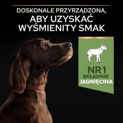 Doskonałe przyrządzenie, aby uzyskać wyśmienity smak. NR 1 składnik jagnięcina – tekst na tle zdjęcia psa z brązową sierścią i obrożą.