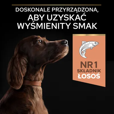 Doskonałe przyrządzenie, aby uzyskać wyśmienity smak. NR 1 składnik łosoś.