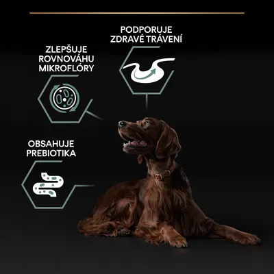 Pes leží vedle grafických prvků s texty: Zlepšuje rovnováhu mikroflóry, Podporuje zdravé trávení, Obsahuje prebiotika.