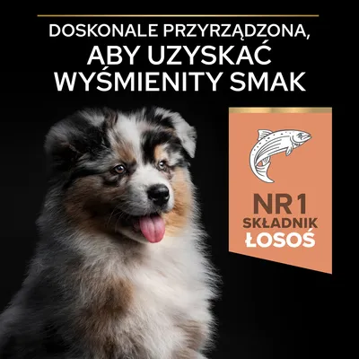 Doskonałe przyrządzona, aby uzyskać wyśmienity smak. NR 1 składnik łosoś.