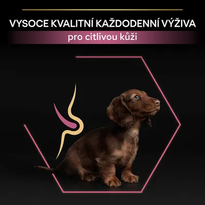 VYSOCE KVALITNÍ KAŽDODENNÍ VÝŽIVA pro citlivou kůži (text v češtine), obrázok šteniatka jazvečíka na čiernom pozadí s grafickými prvkami.