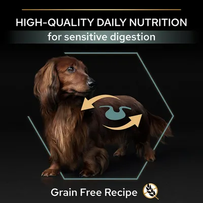 HIGH-QUALITY DAILY NUTRITION for sensitive digestion, Grain Free Recipe felirat, barna tacskó kutya, gyomor szimbólum nyilakkal a testen