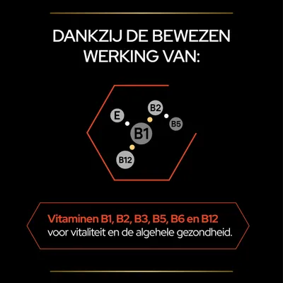 Dankzij de bewezen werking van: Vitaminen B1, B2, B3, B5, B6 en B12 voor vitaliteit en de algehele gezondheid. Afbeelding met B1, B2, B5, B12 en E in een hexagon.