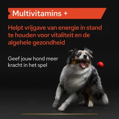 Multivitamins +. Helpt vrijgave van energie in stand te houden voor vitaliteit en de algehele gezondheid. Geef jouw hond meer kracht in het spel.