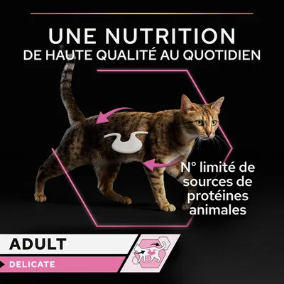 UNE NUTRITION DE HAUTE QUALITÉ AU QUOTIDIEN, N° limité de sources de protéines animales, ADULT DELICATE, illustration chat adulte avec flèches et icône système digestif.