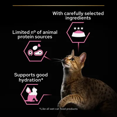 Text på engelska: With carefully selected ingredients, Limited n° of animal protein sources, Supports good hydration. Bild på katt och ikoner för ingredienser, protein och vätska.
