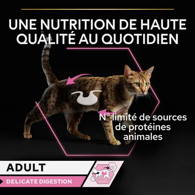 UNE NUTRITION DE HAUTE QUALITÉ AU QUOTIDIEN, N° limité de sources de protéines animales, ADULT, DELICATE DIGESTION. Texte en anglais : DELICATE DIGESTION.