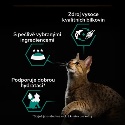 S pečlivě vybranými ingrediencemi, zdroj vysoce kvalitních bílkovin, podporuje dobrou hydrataci. Obrázek kočky a ikon s textem.