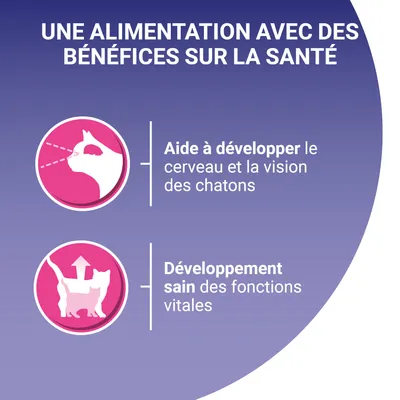 Text în limba franceză: 'UNE ALIMENTATION AVEC DES BÉNÉFICES SUR LA SANTÉ. Aide à développer le cerveau et la vision des chatons. Développement sain des fonctions vitales.'