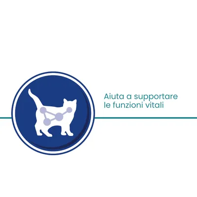 Aiuta a supportare le funzioni vitali