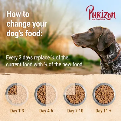 Feeding guide showing how to change food: every 3 days, replace a quarter of current food with new food. Day 1-3, 4-6, 7-10, and day 11+ shown with bowls illustrating the mix.