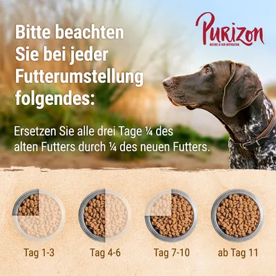 Purizon Futterumstellung: Ersetzen Sie alle drei Tage 1/4 des alten Futters durch 1/4 des neuen Futters. Diagramm zeigt Schritte von Tag 1-3, Tag 4-6, Tag 7-10 und ab Tag 11.