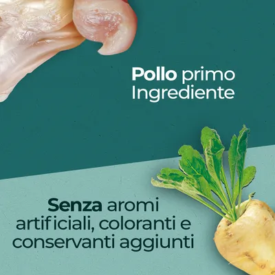 Pollo primo ingrediente. Senza aromi artificiali, coloranti e conservanti aggiunti.